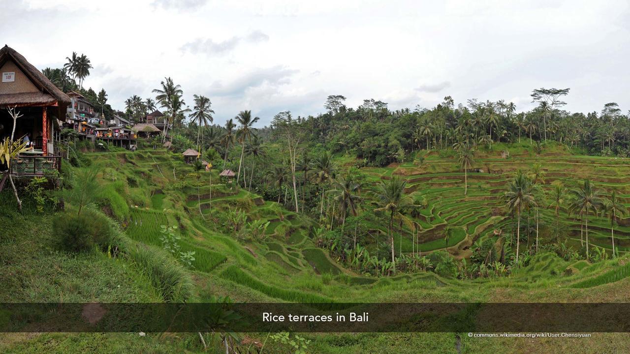 Zen Rooms Basic Kuta Kubu Anyar Bagian luar foto